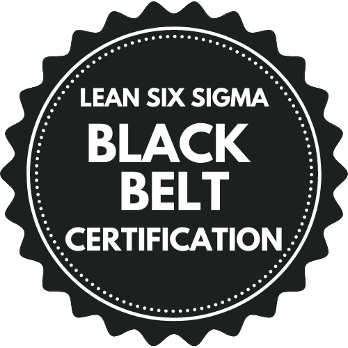 Consultant Black Belt en gestion de production